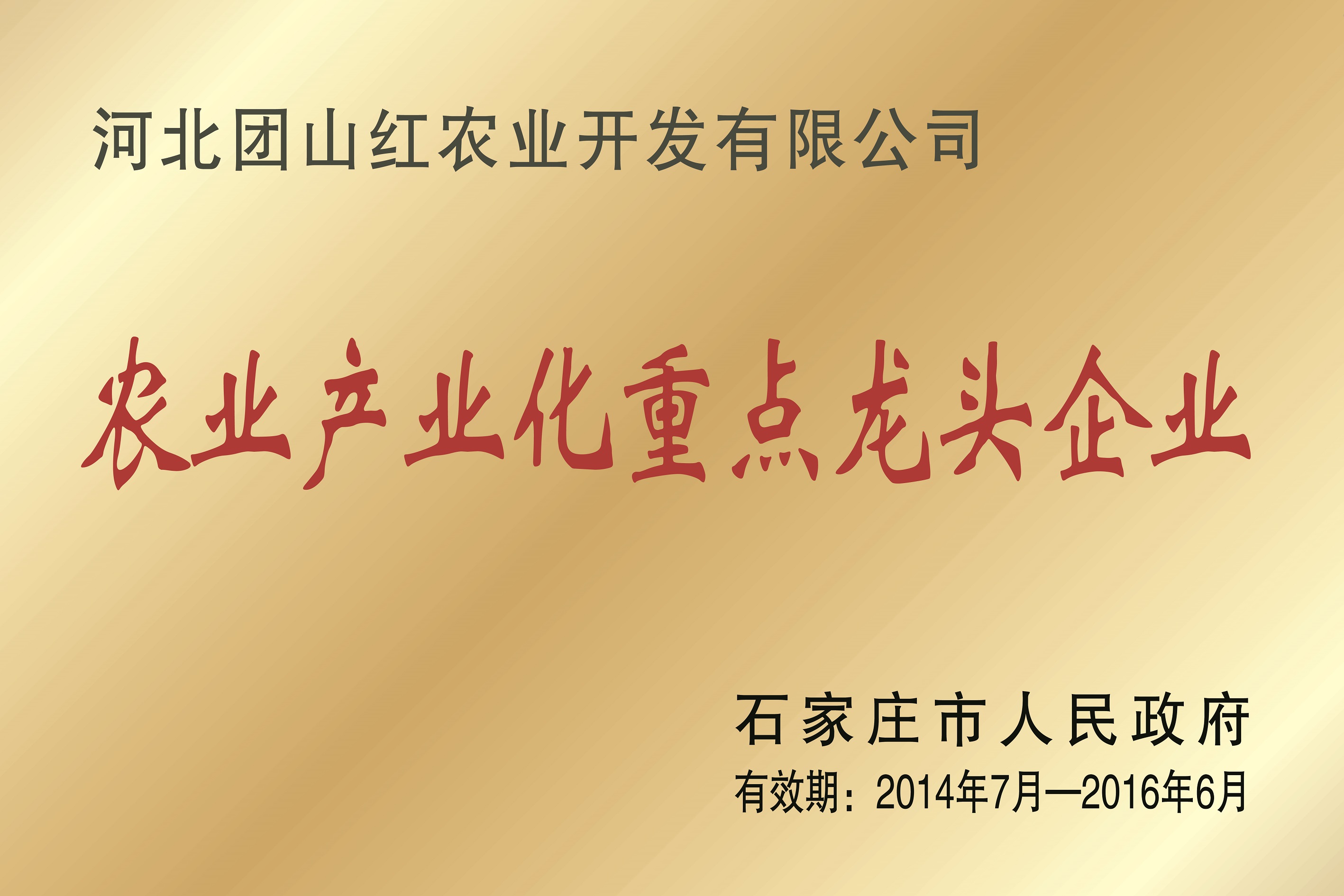 農業(yè)產業(yè)化重點龍頭企業(yè)